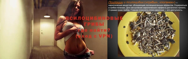 скорость Липки