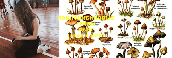 твердый Краснотурьинск