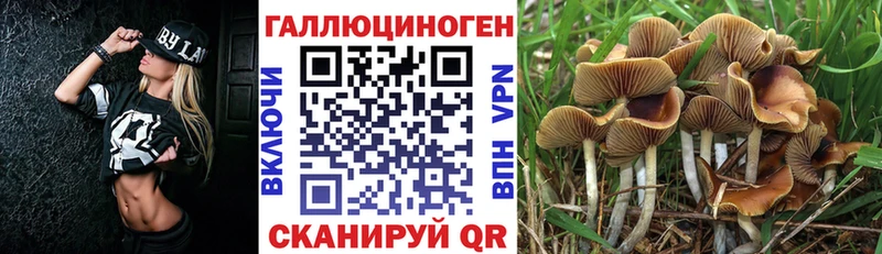 Псилоцибиновые грибы Magic Shrooms  Тогучин 
